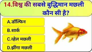 Gk  Gk Question  Gk Hindi  Gk Quiz  Gk Samanya ghyan [upl. by Nuahsyt]