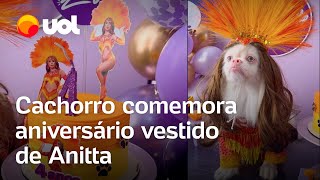 Cão tem festa de aniversário com tema Ensaios da Anitta e roupa igual a da cantora veja vídeo [upl. by Epstein]