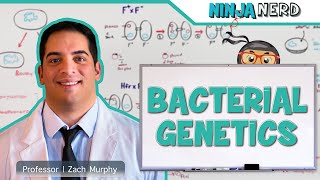 Bacterial Genetics [upl. by Yonit550]