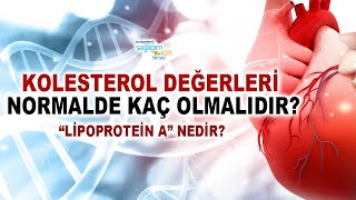 HDL ve LDL İçin Normal Değerler Kaç Olmalıdır quotLipoprotein Aquot Nedir [upl. by Harberd]