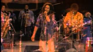 Bob Marley  Live Santa Barbara 1979 Japanese Remastered CD HD [upl. by Artemla]