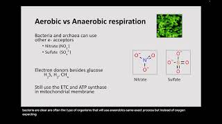 Oct 9th  Fermentation and Case Studies [upl. by Aneem]