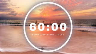 ONE HOUR 60 minute Countdown Timer  Calm Music for Relaxing [upl. by Bain]