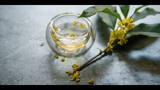 Osmanthus Tea Superb 5 Benefits of This Drink [upl. by Thalia348]