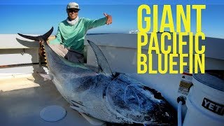 Big Tuna Dreams Season 1 Episode 2 Giant Pacific Bluefin Tuna [upl. by Beattie427]