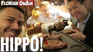 On DEVALISE la nouvelle carte dHIPPOPOTAMUS  VLOG 545 [upl. by Yahc]