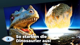 So hat der Asteroid die Dinosaurier vernichtet Die ersten 24 Stunden nach dem Einschlag [upl. by Sheffield]