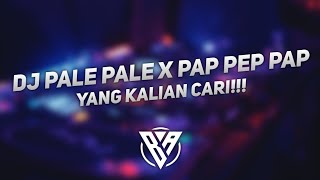 DJ Pale Pale X Pap Pep Pap Viral TikTok 2020 Bluesky Asia Remix [upl. by Zumwalt]