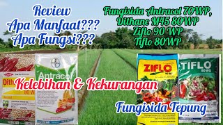 Review Manfaat Dan Fungsi Fungisida Antracol 70WP Dithane M45 80WP Ziflo 90 WP Tiflo 80WP [upl. by Cuthbert58]