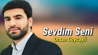 Orxan Goycayli  Sevdim Seni Official Audio Music [upl. by Llerrehc]