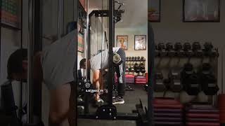 Hybrid stiff legged deadlift back extension [upl. by Yc]