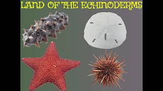 Land Of The Echinoderms [upl. by Adamik]