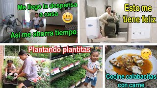 Esto me tiene feliz💪 Me trajeron la despensa hasta la casa🛍 Compramos plantitas🌱 [upl. by Batsheva]