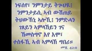 Eritrean Orthodox Tewahdo Mezmur  ንዓይ ትጽቢተይ ኣምልኽ ጥራይ እዩ [upl. by Alexine]