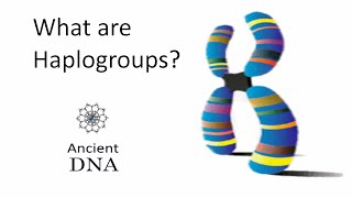 What are Haplogroups [upl. by Annam]