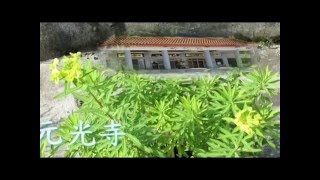 介紹藥用植物及認識民間青草藥ˋ大甲草，五虎下山 [upl. by Dlaner]