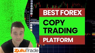 ZuluTrade Review  Is this the Best Forex Copy Trading Platform MT4 amp MT5 [upl. by Gladine]