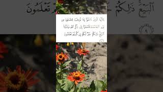 SURAH ALJUMUAH Ayat 910 EgzonIbrahimiallah quran [upl. by Nissie517]