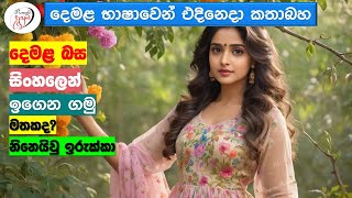 අපි දෙමළ කතා කරමු  මූලික පාඩම්  Lets Speak Tamil  Basic to Advanced Lessonsquot  Punchi Danuma [upl. by Atiloj]