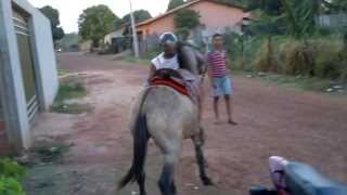 como montar em um burro [upl. by Rumit]