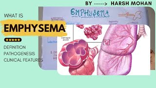 What is Emphysema Types of COPD and the Pathology of Lung Disease [upl. by Guthrey810]