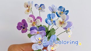 微钩角堇Viola cornuta染色 [upl. by Anrapa]