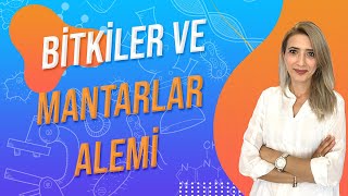 23DERS BİTKİLER VE MANTARLAR ALEMİ  TYT 9SINIF l Seda Hoca Biyoloji 🤗 [upl. by Nicola]