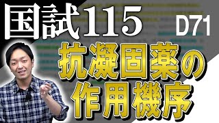 115D71 解説動画 抗凝固薬の作用機序 郡司竜太郎 先生 [upl. by Gnok292]