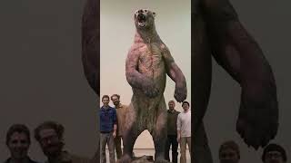 Arctodus The Worlds Largest Bear [upl. by Aimat]