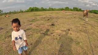 Ampuh Main ke Laut amp Savana The Beach Love  Pantai Kedungu Tabanan Bali 🌴 Vlog 170 ampuh [upl. by Ogu]