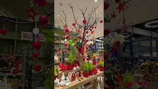 Christmas decorations in Germany very beautiful youtubeshorts christmas amazinggarden shorts [upl. by Idnir]