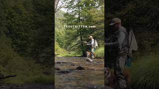 Small Stream Fly Fishing Leader [upl. by Rhtaeh]