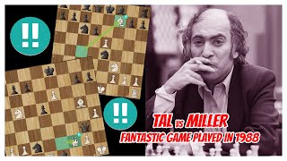 TAL vs MILLER  1988  A fantastic Game with mutual risk and the threat of checkmate [upl. by Fleeman611]