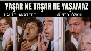 Yaşar Ne Yaşar Ne Yaşamaz Türk Filmi  HALİT AKÇATEPE  FULL HD [upl. by Aiden936]