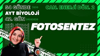 42 Fotosentez  Canlılarda Enerji Dönüşümleri  12 Sınıf Biyoloji  2024 AYT Biyoloji 42 Gün [upl. by Avilo889]