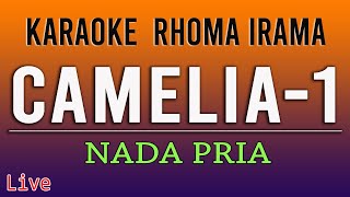 CAMELIA KARAOKE RHOMA IRAMA [upl. by Lemire706]