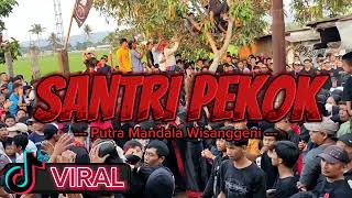 DJ BANTENGAN  PUTRA MANDALA WISANGGENI  SANTRI PEKOK [upl. by Adnwahsat278]