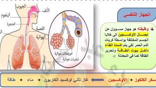 احياءثالثمتوسط الفصل السادس الجهاز التنفسي [upl. by Speroni78]