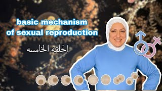 Episode 5 of Basic mechanism of sexual reproduction Folliculogenesis [upl. by Anahc]