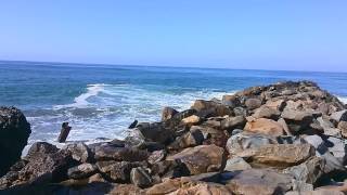 California Oxnard Silver Strand Beach [upl. by Zilada835]