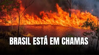 Queimadas e Incêncios no Brasil o que está acontecendo   Geobrasil [upl. by Millicent189]