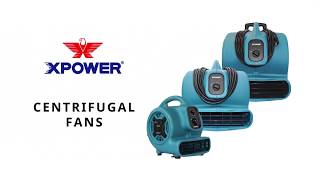 XPower Air Mover with Wheels 1 HP 3600 CFM Model X830H [upl. by Sethrida]