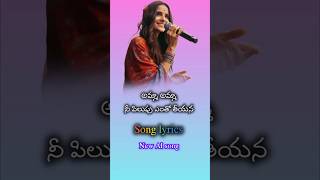 amma amma ni manasentho challana 💝 mother sentiment telugu song lyrics telugulyrics songslyrics [upl. by Essiralc984]