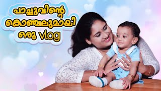 പാച്ചുവിന്‍റെ കൊഞ്ചലുമായി ഒരു വ്ലോഗ്  A Day In Our Life With Pachus  Dimple Rose [upl. by Boni]