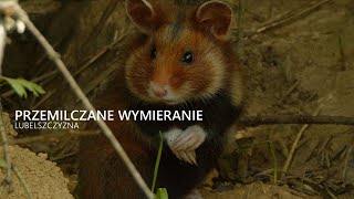 PRZEMILCZANE WYMIERANIE  SILENT EXTINCTION [upl. by Rriocard]