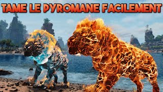 COMMENT TAMER FACILEMENT UN PYROMANE  Tuto Ark Ascended [upl. by Darnall120]