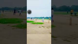 Best innovative shots in cricket 🔥cricketlover cricket shortsfeed shorts ytshorts yt trend [upl. by Yenots]