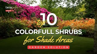 10 Shrubs That Will Add Color and Thrive in the Shade 🌸🌳🌷  Gardening Tips [upl. by Nabalas535]