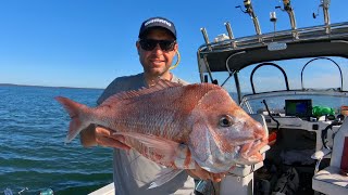 Westernport Snapper October ‘24 How to All About Fishing [upl. by Wyne]