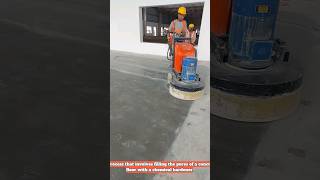 DENSIFICATION OF CONCRETE FLOOR densificationofconcrete trending video floor [upl. by Hsuk]